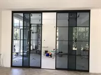 Металло-стеклянные раздвижные двери Loft купе усиленная конструкция
