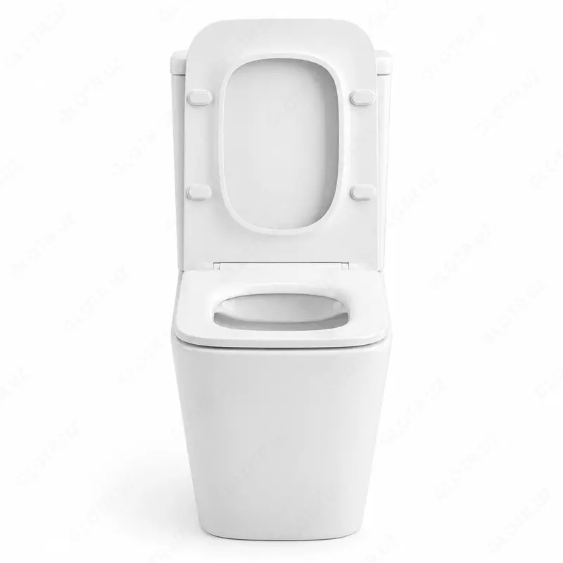  Unitaz Emerich 223 — Rimless yuvish tizimli yaxlit (litoy) keramik unitaz - 