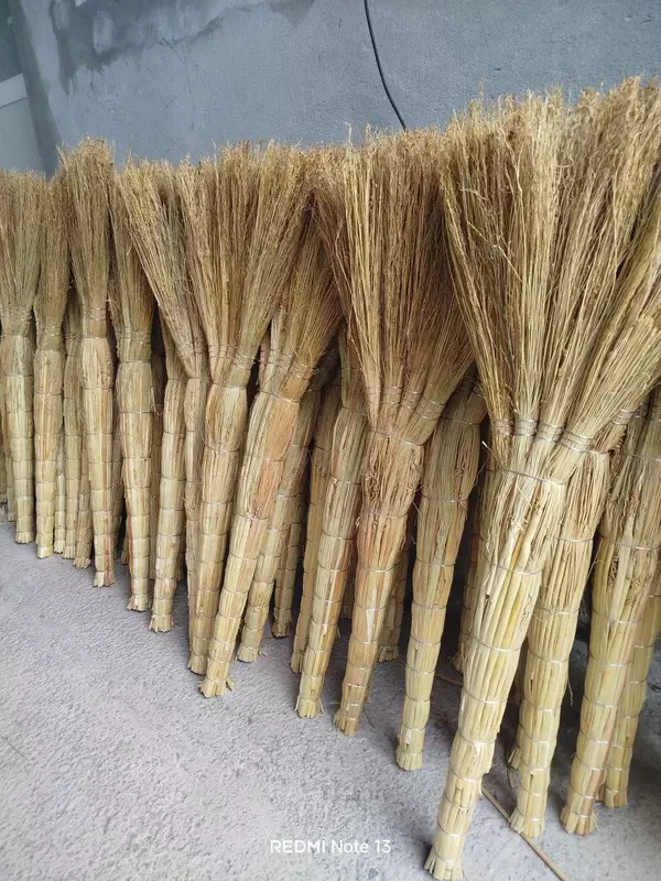 Sorgo supurgisi