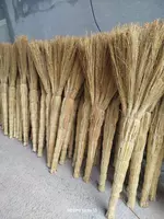 Sorgo supurgisi