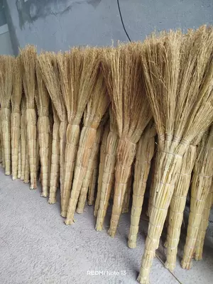 Sorgo supurgisi