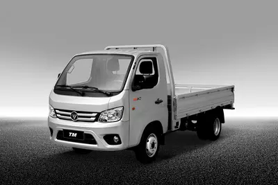 Truck Mate 2 D1 yuk mashinasi