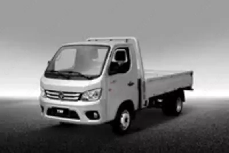 Foton Truck Mate 2 D1