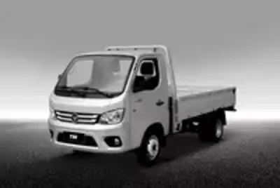 Foton Truck Mate 2 D1
