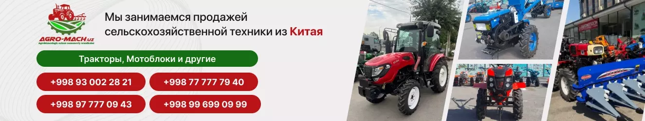 Glotr-b
