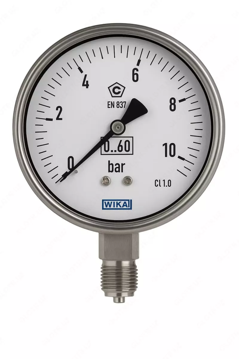 2025-06-24-19-31-58-795312-546ba7a071c5a9a14a7fd14ce92ac793.webp?_=ozbol