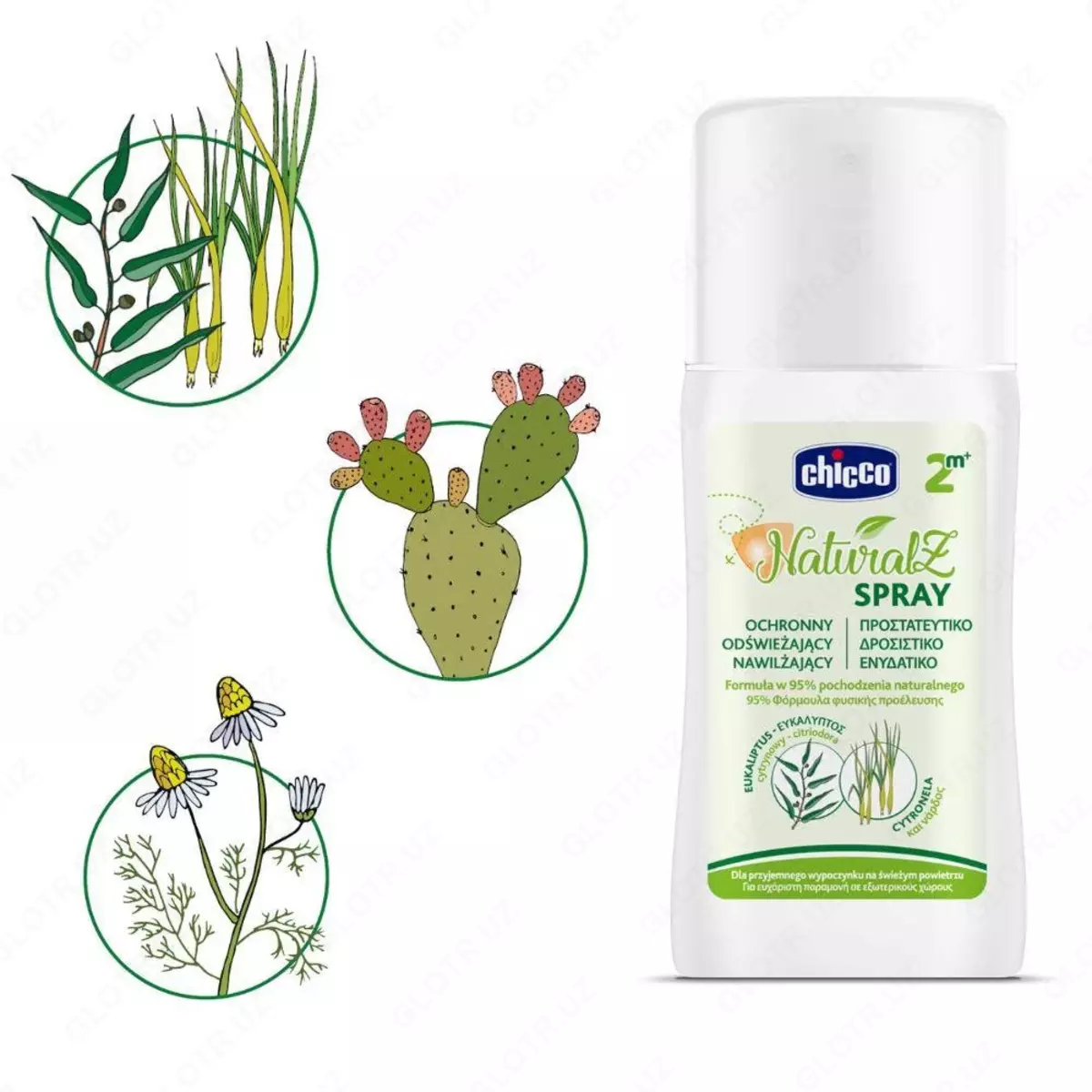 2025-07-08-20-13-32-750914-03eda8c2cda3b82bfa7a8ed562c8bc65.webp?_=ozbol