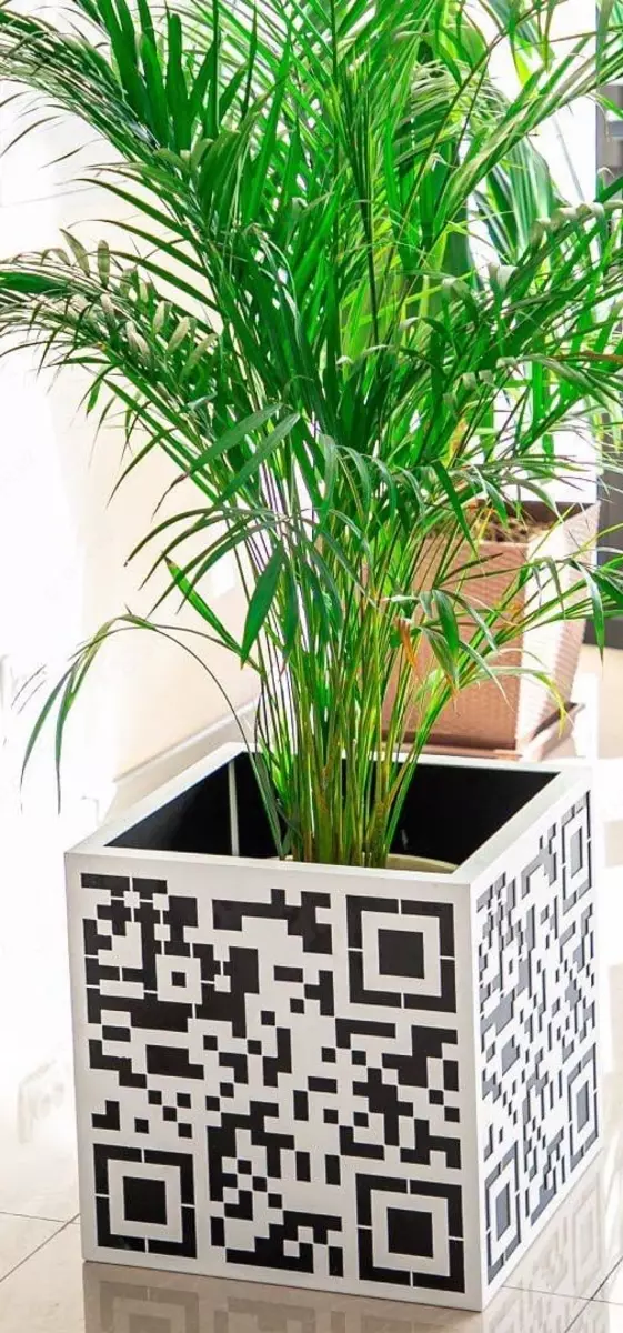 2025-07-24-13-48-20-244397-5101da7704f4f3048857b42fc90b7b2b.webp?_=ozbol