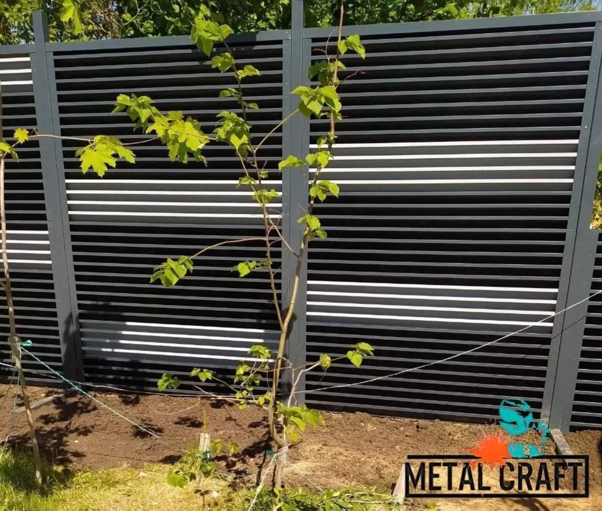 2025-07-24-14-13-19-108084-a299993736f0e83cb65c0efc9335a50b.webp?_=ozbol