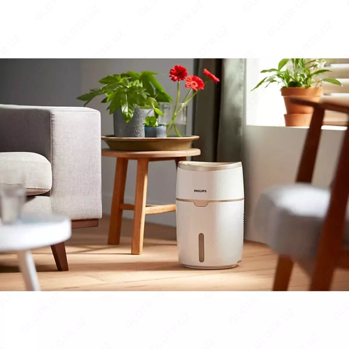 2025-07-26-18-20-16-713603-bddb8e106e8b141d8269c1b34f0339ef.webp?_=ozbol