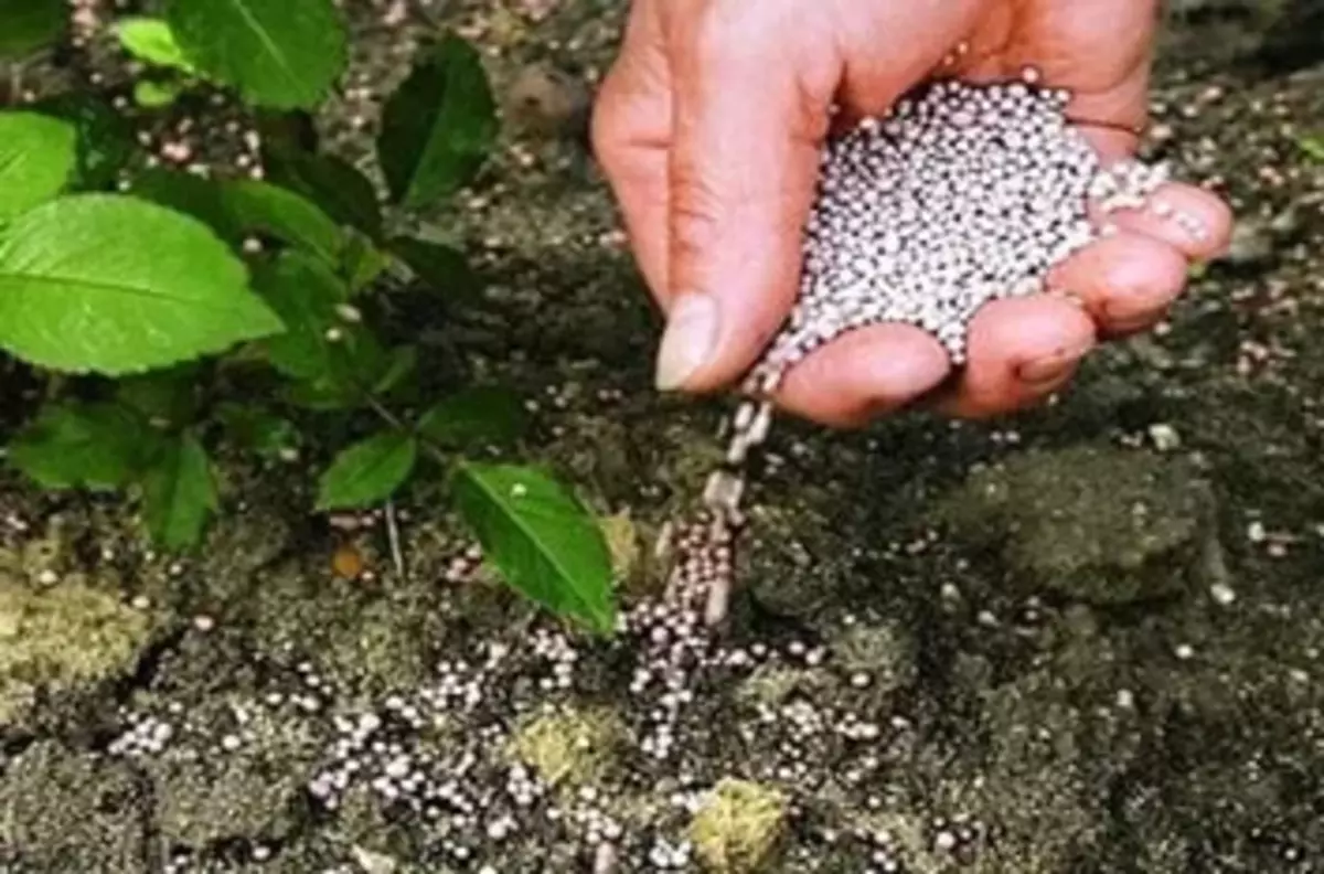 2025-08-07-13-43-16-318827-05c2093ee18415b1fff042a5b372e330.webp?_=ozbol