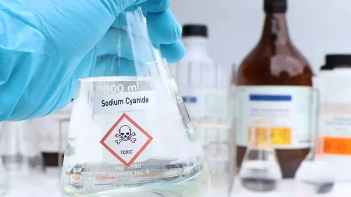 2025-08-07-13-50-11-586255-fae01a02d7e761f90ea604bd4497b942.webp?_=ozbol