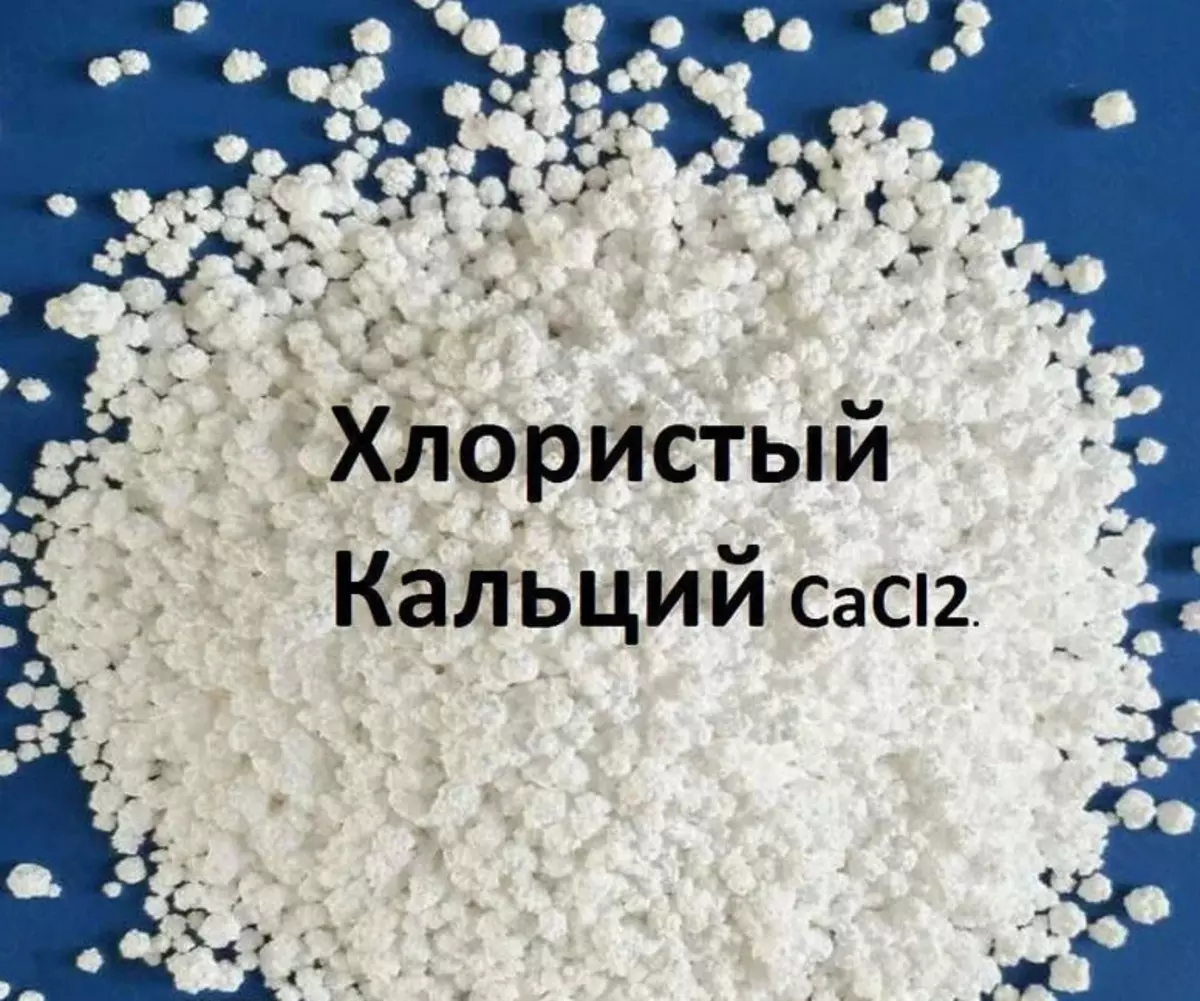 2025-08-08-15-44-47-768494-04399a9bf9b18d2db2173ccb9318be6a.webp?_=ozbol