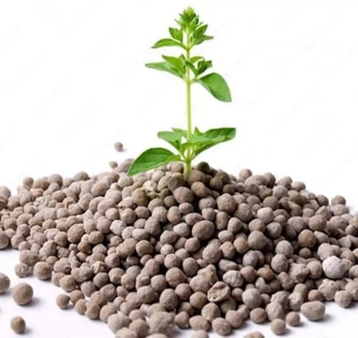 2025-08-09-14-47-58-070415-aede1fdbc895b4551237042a66df478c.webp?_=ozbol