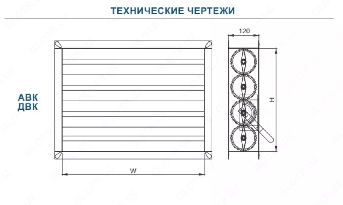2025-08-11-14-00-03-984470-1f5f905ae9397f5ed80cc9b2739cf867.webp?_=ozbol