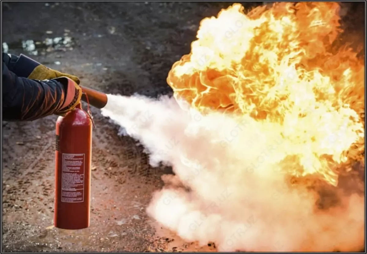 2025-08-12-14-44-08-121434-268c7dca7f86bf18a9f6a431550ab181.webp?_=ozbol