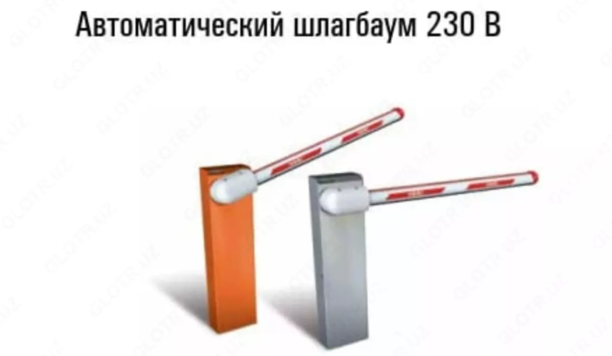 2025-08-22-14-22-09-476390-b98b056ded7e4fcabb918053acbcf491.webp?_=ozbol