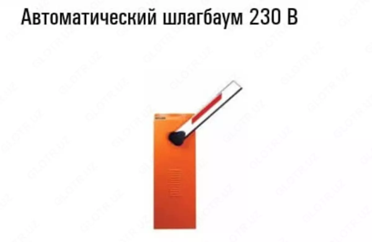 2025-08-22-14-53-57-303245-233fe0b6d008b902c439251f7eae8c2f.webp?_=ozbol