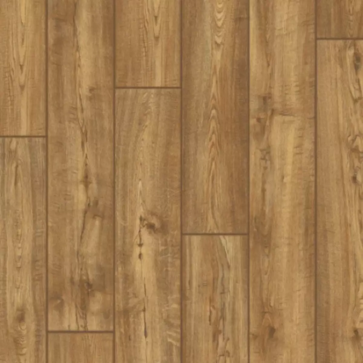 2025-09-02-11-48-11-865562-715a611ef8f229aa76404b92c1eebaa2.webp?_=ozbol