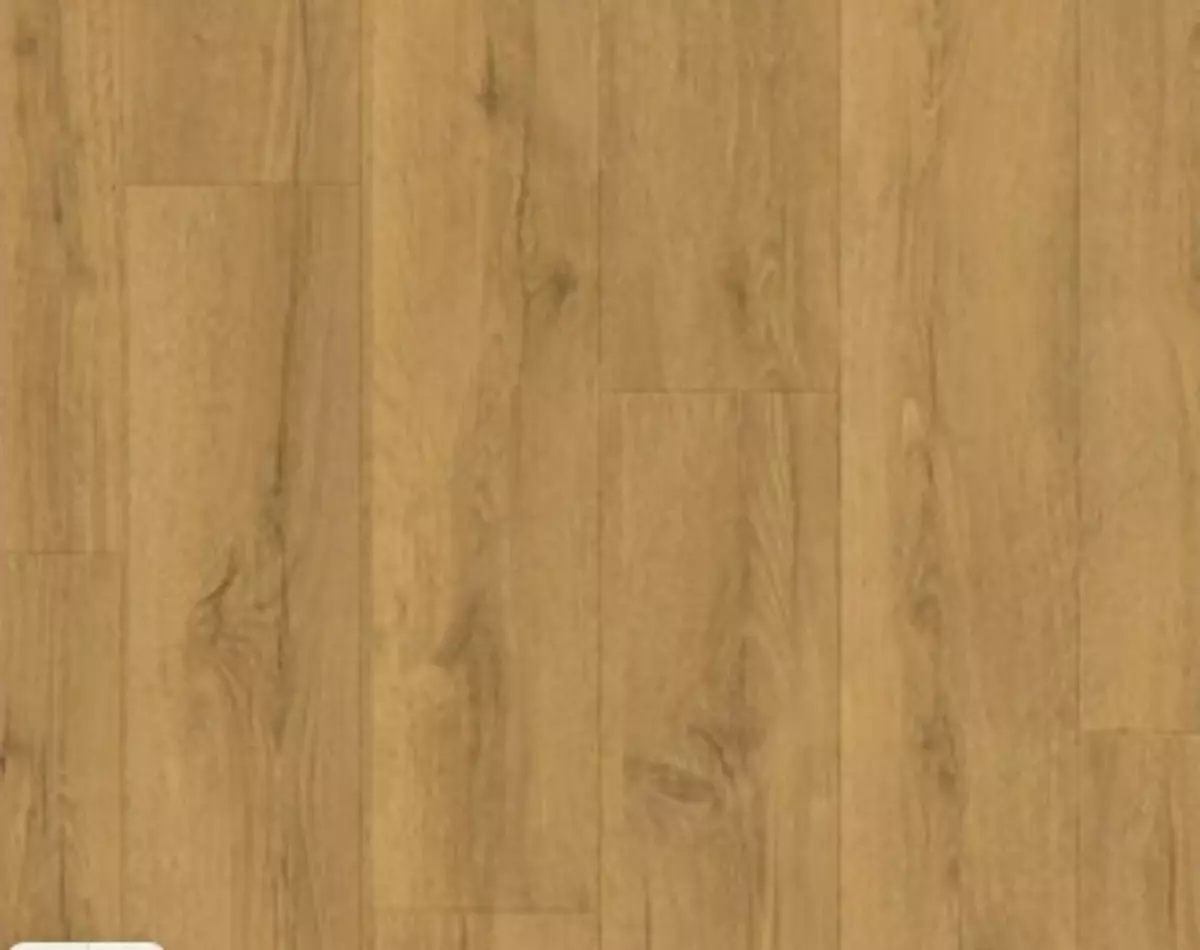 2025-09-02-12-48-23-430684-6c8d2f504854b4442edd94bbd264dfa3.webp?_=ozbol