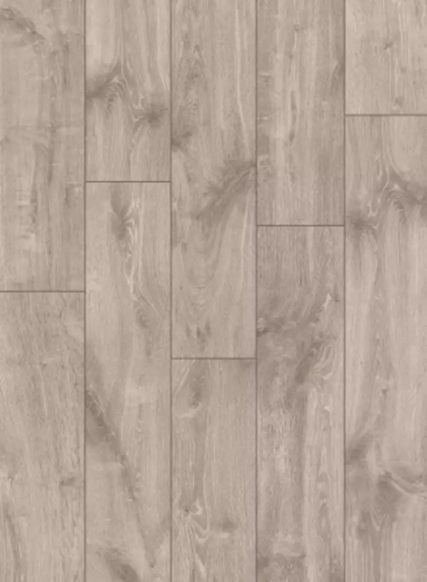 2025-09-02-13-45-23-020870-f45ccc5d55eef54282a29e0eb43cd127.webp?_=ozbol