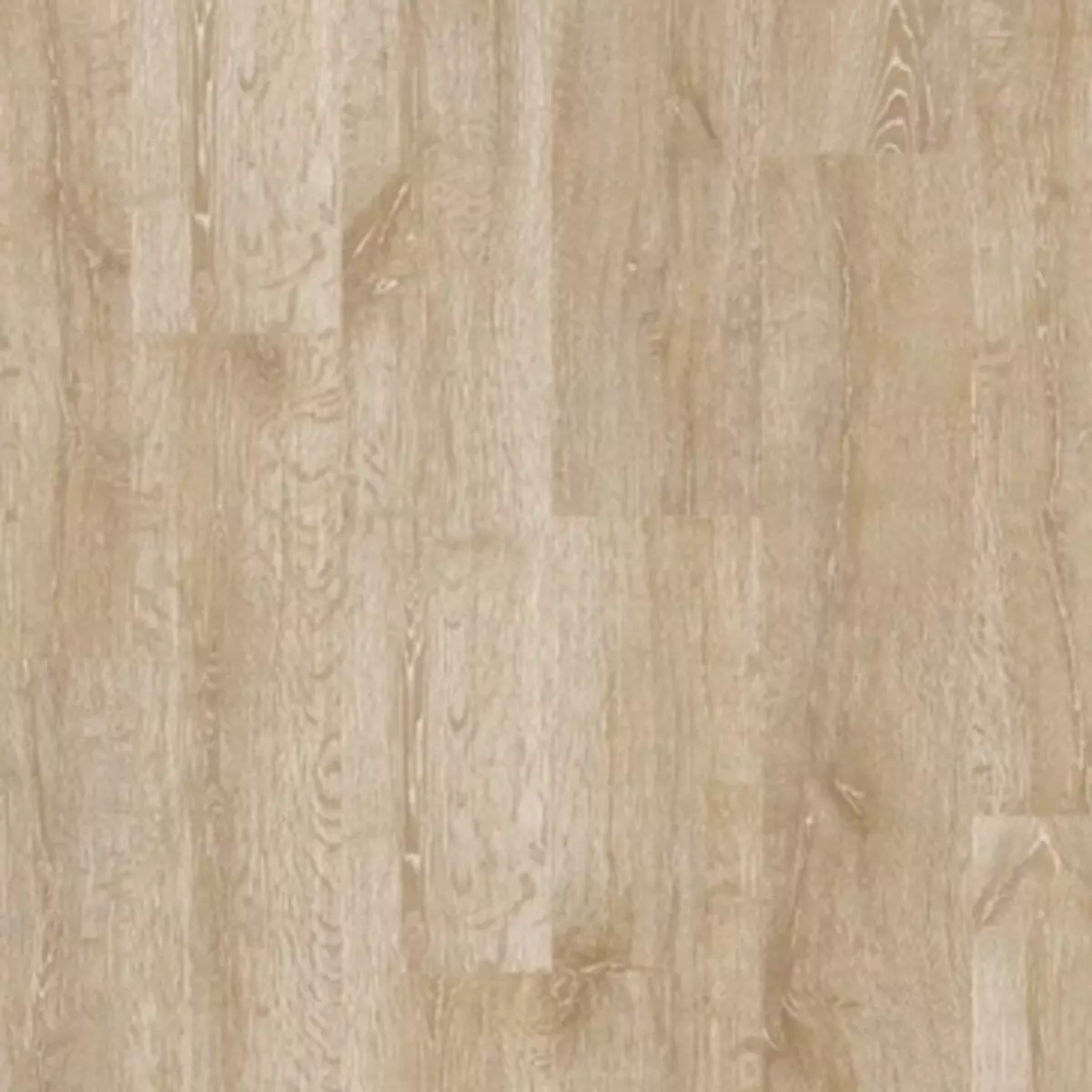 2025-09-02-13-48-20-556798-04fbef7ae1b89a440c4441525324da5d.webp?_=ozbol