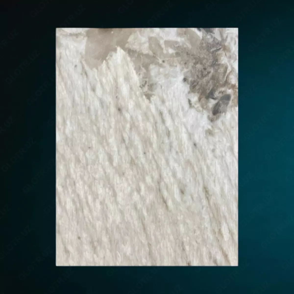 2025-09-10-09-25-47-373295-8a783c311b78687b64b1bf9ce9c0c05d.webp?_=ozbol