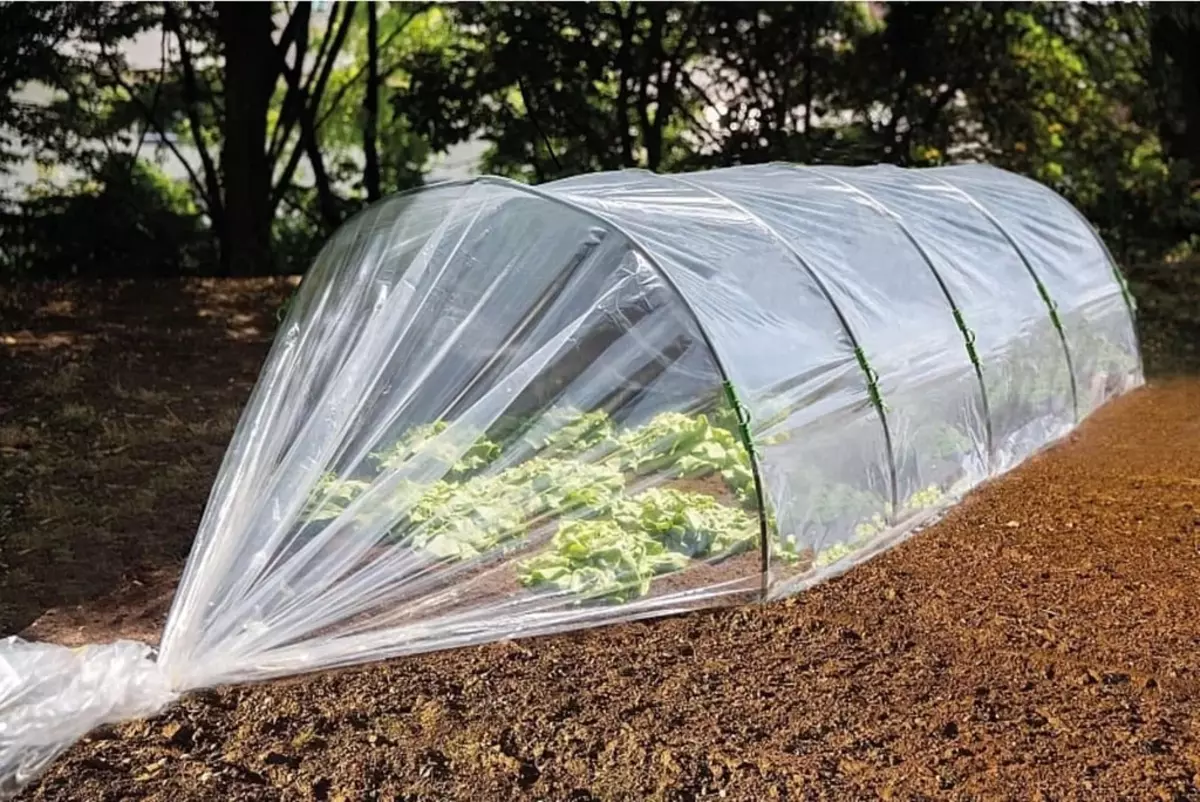 2025-09-16-16-18-07-705423-cb88eb87a9c55e180d331031796f34a2.webp?_=ozbol