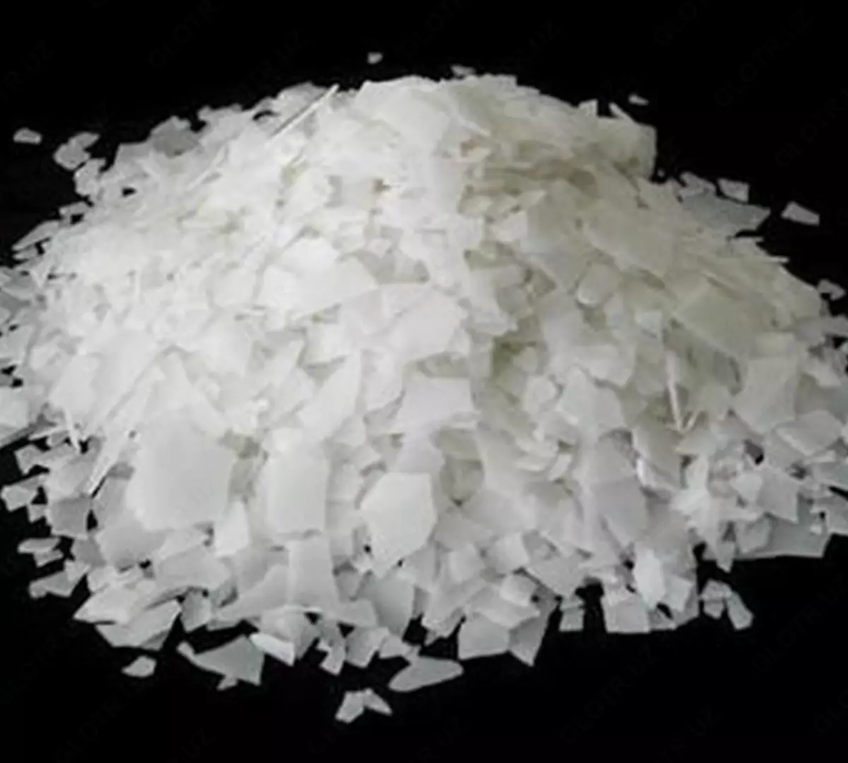 2025-10-07-11-36-40-407163-4f3f89c0ef7c77dfa6d27e2f043f6aff.webp?_=ozbol