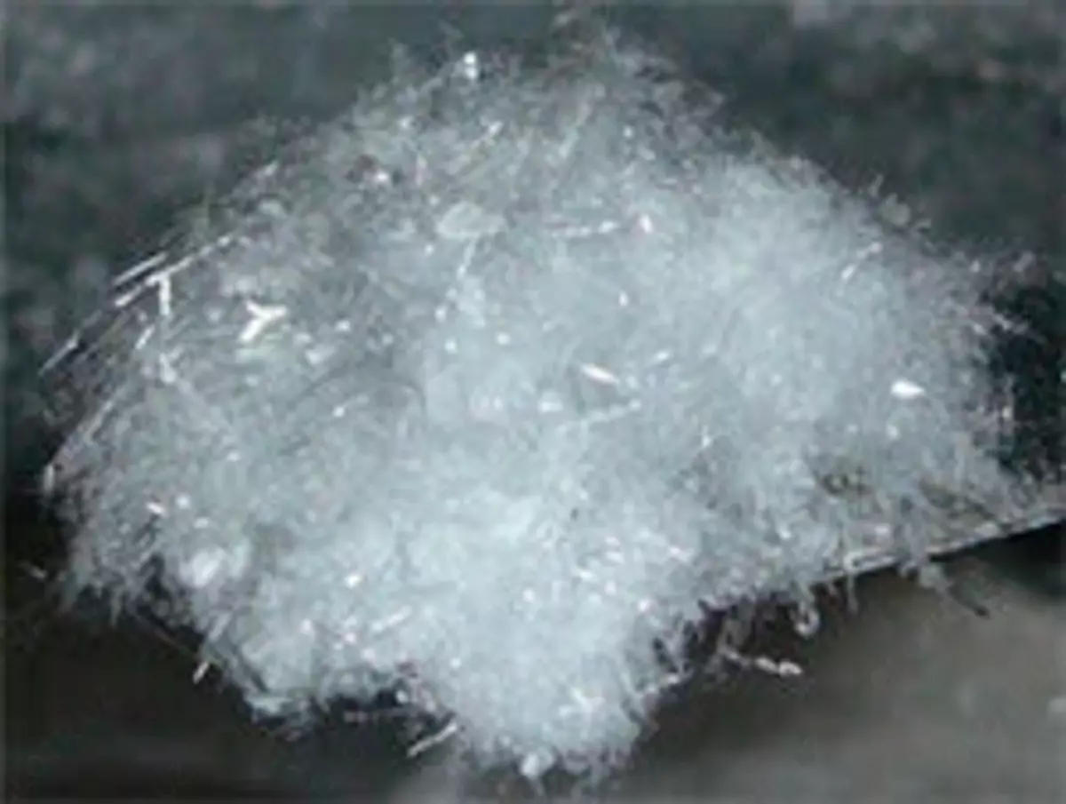 2025-10-07-16-30-05-620201-c7338f65ed2223eeb5919fb63608c42f.webp?_=ozbol