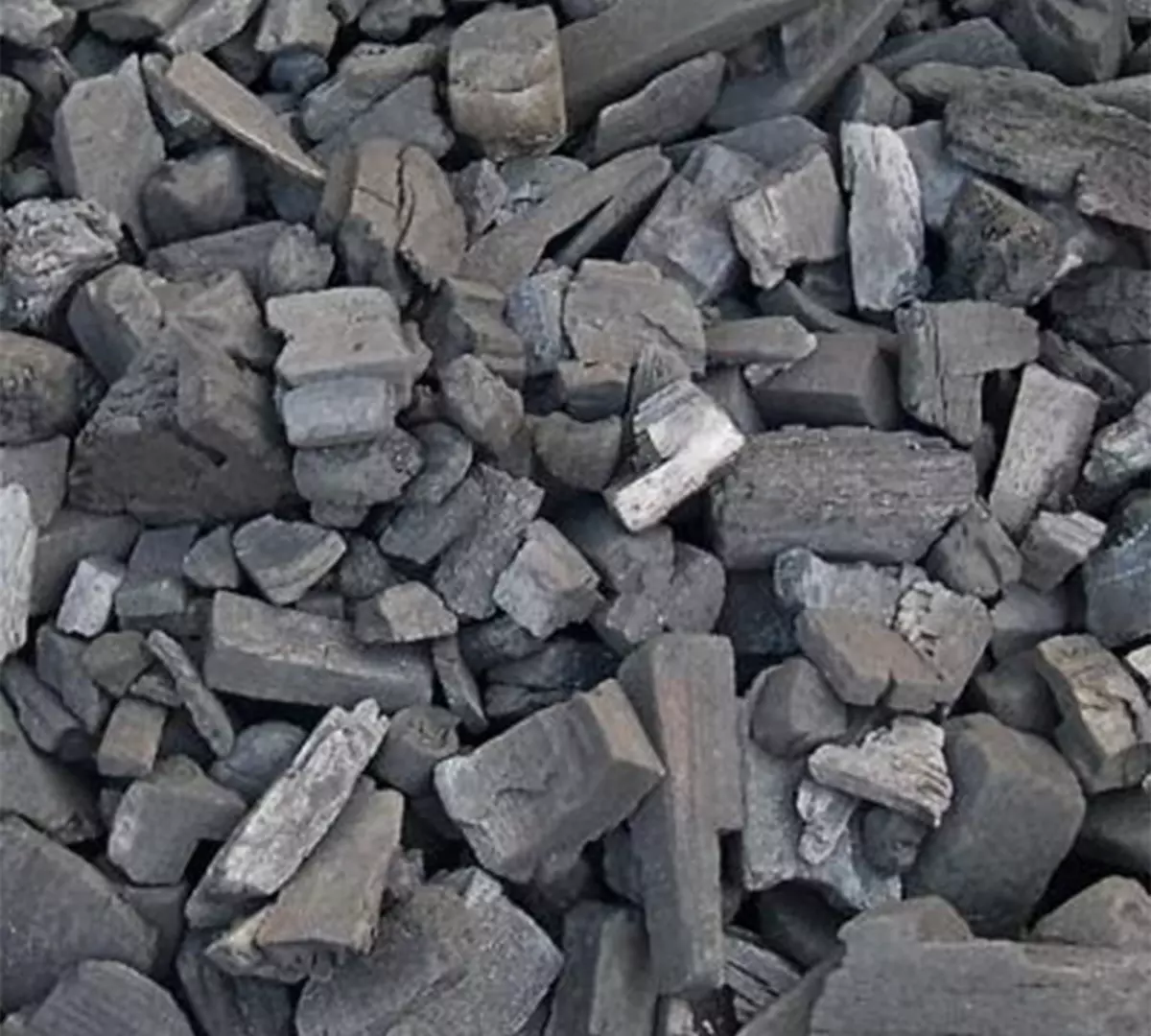 2025-10-07-16-49-40-561677-be7c069cd63987954aa93c092f6d8c29.webp?_=ozbol