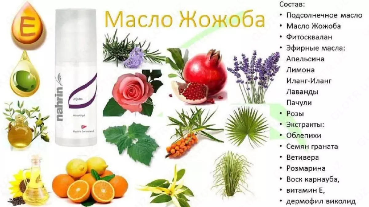 2025-10-16-11-24-34-519353-fe76e4a8af14fcbfb490f775a03eaa05.webp?_=ozbol