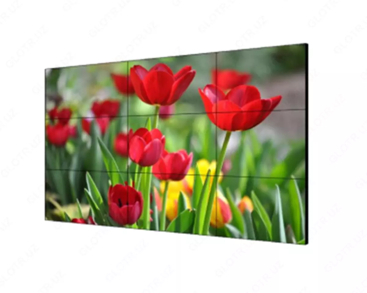 2025-10-23-09-43-32-897656-7ee76236dc6cd0c5f6bc9ad16a6f6fe8.webp?_=ozbol