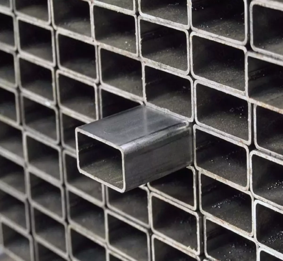 2025-11-05-11-45-42-982338-4f8e6ce2af6578346d6a6ccb96048a0c.webp?_=ozbol