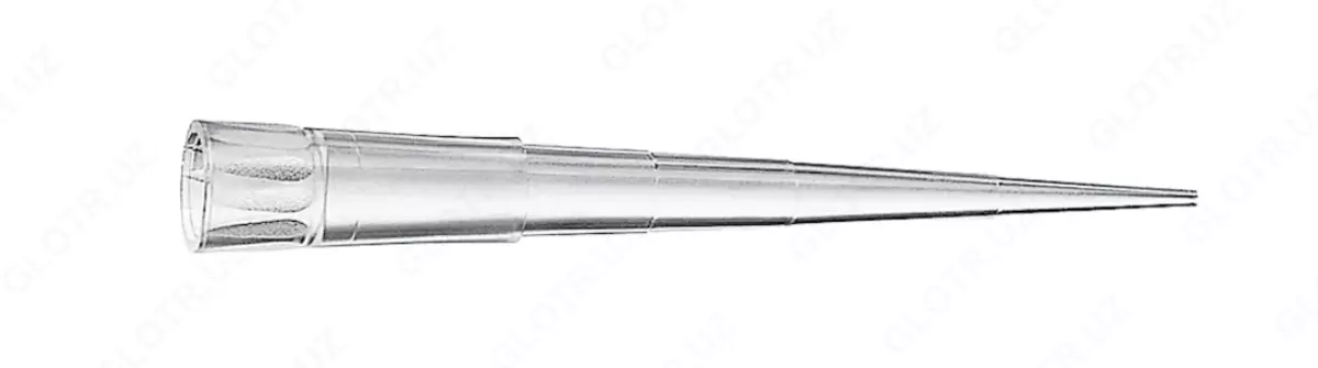 2025-12-01-11-56-24-283683-687fd7044cbd863e6f6eea41b2c249ee.webp?_=ozbol