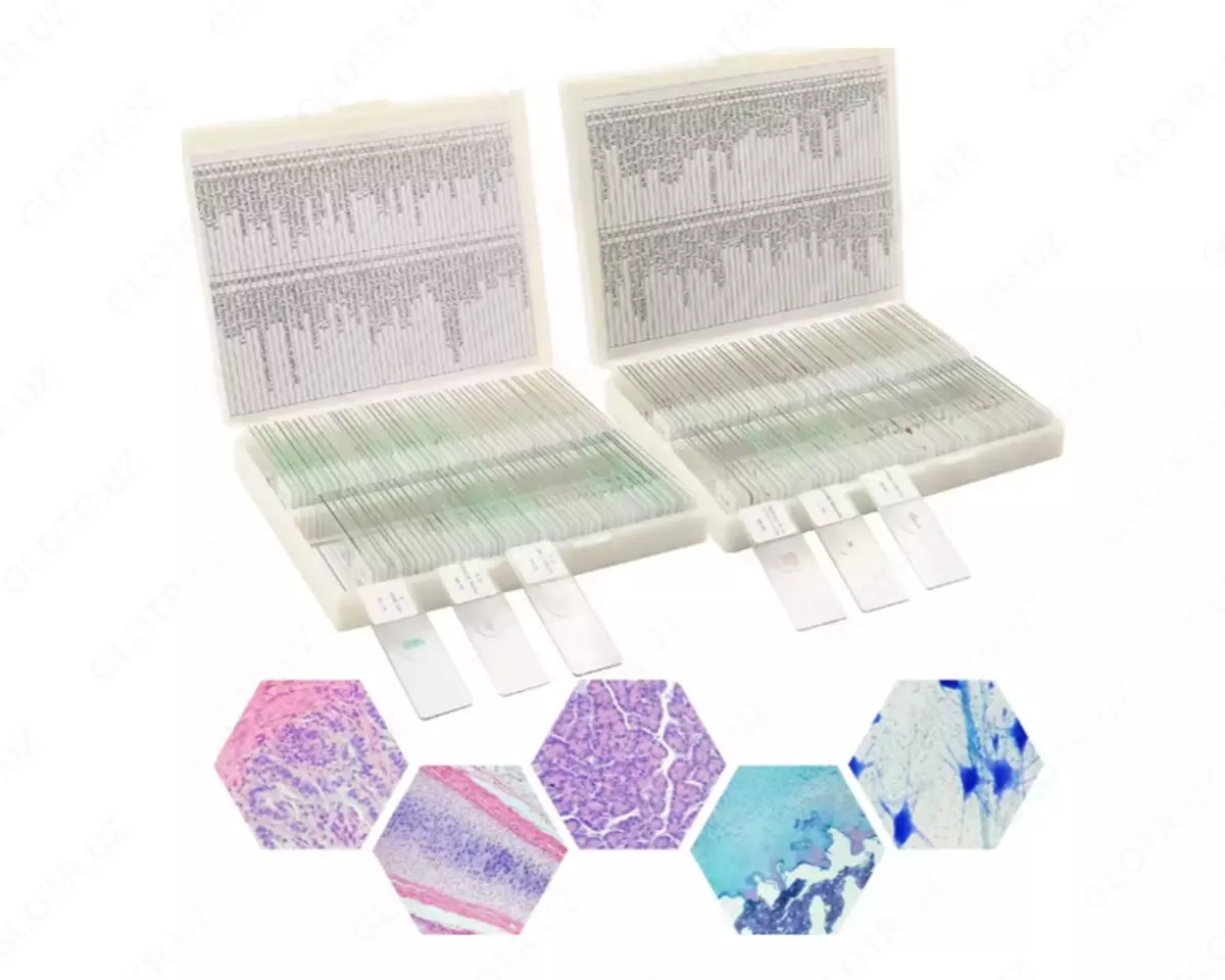 2025-12-01-12-57-41-137938-32f9a96ff6307b72fc63ef9ada7190d7.webp?_=ozbol