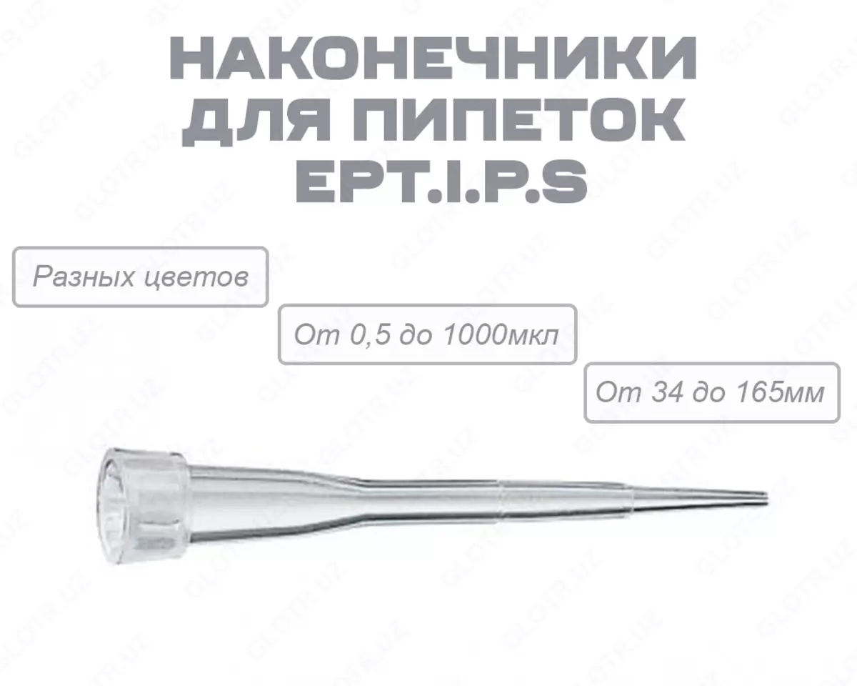 2025-12-01-13-54-15-880787-56d63c622408d148219b75dacab3dbfa.webp?_=ozbol