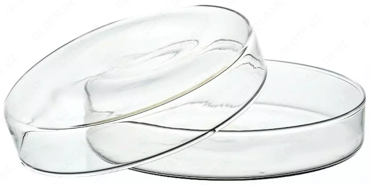 2025-12-01-15-04-42-936131-545090422408456b8132aaf870f7399e.webp?_=ozbol