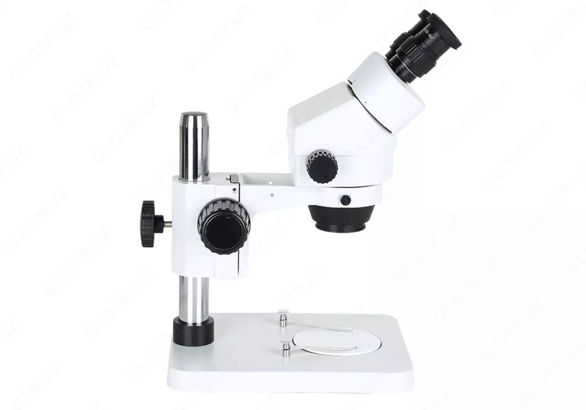 2025-12-05-11-52-53-799164-48b6ffba95f5249e2085f4c5502a59af.webp?_=ozbol