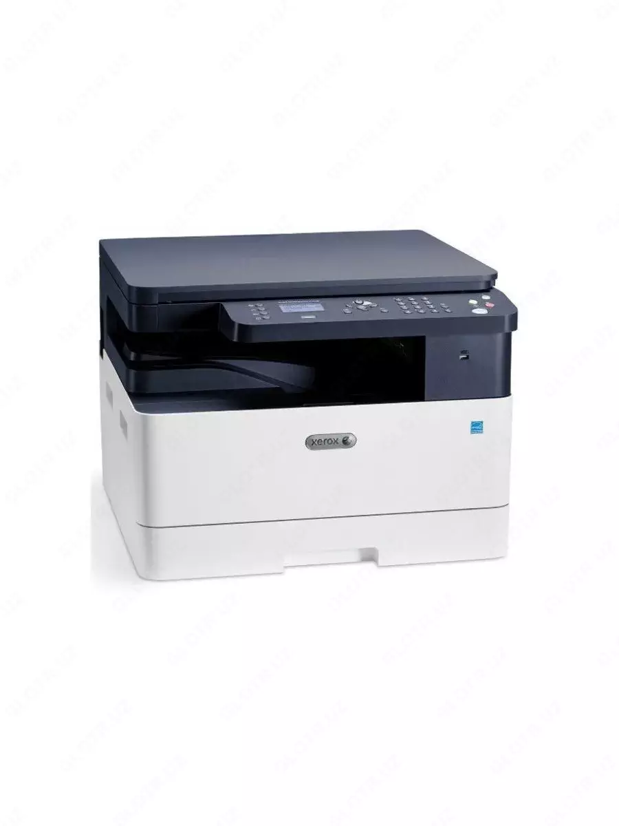 2025-12-11-10-48-38-866365-0eeb028d55ed0a661232d1a40a1fc731.webp?_=ozbol