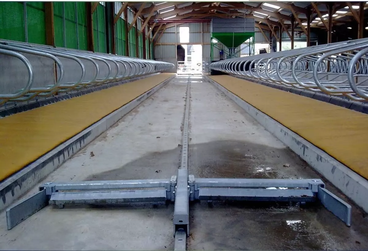 2025-12-16-12-03-39-212782-0e9c7f720264cd9090b4f634e391bc4c.webp?_=ozbol