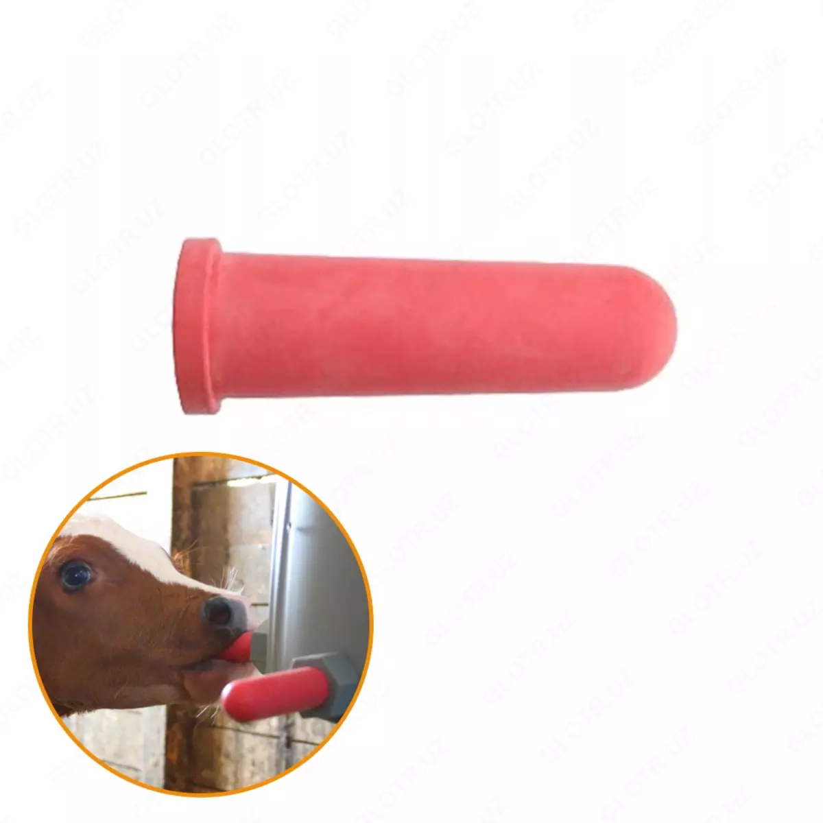 2025-12-18-10-26-51-257051-08aa03a5208d694e51c2b822a047c595.webp?_=ozbol