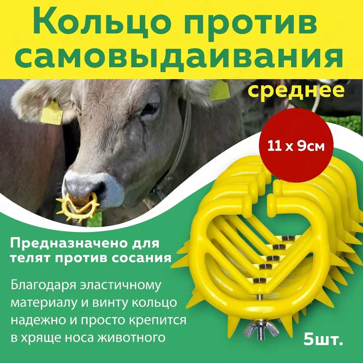 2025-12-18-10-45-00-871333-a6357c06482a31b6d949b54fb04f08b2.webp?_=ozbol