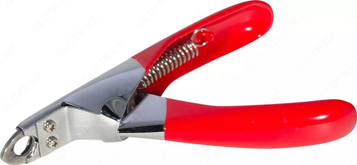 2025-12-18-12-39-08-528009-e041c88c60652f7d76480c47deb97ed8.webp?_=ozbol