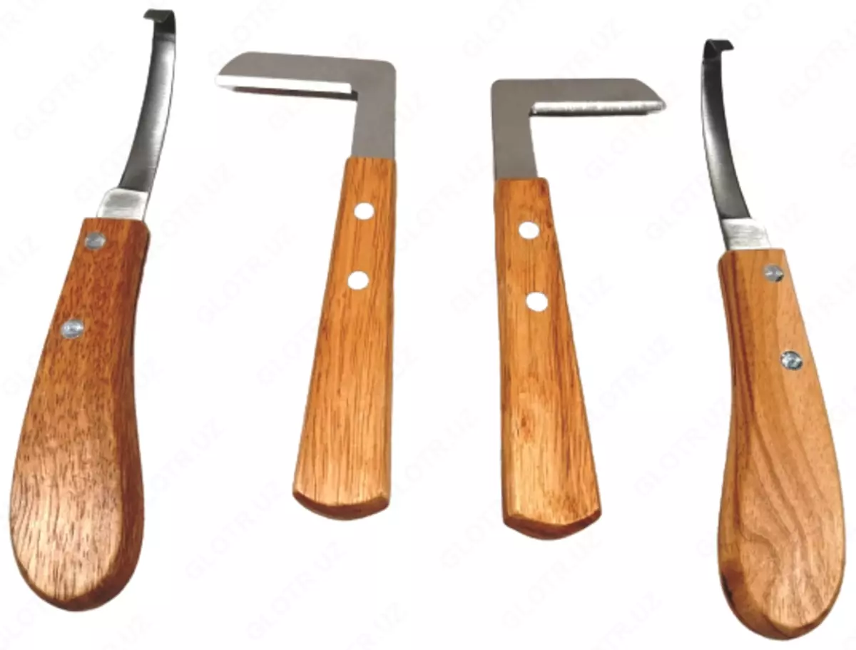 2025-12-23-10-32-15-832068-e62f6949926886026c0528a5781ddfcd.webp?_=ozbol