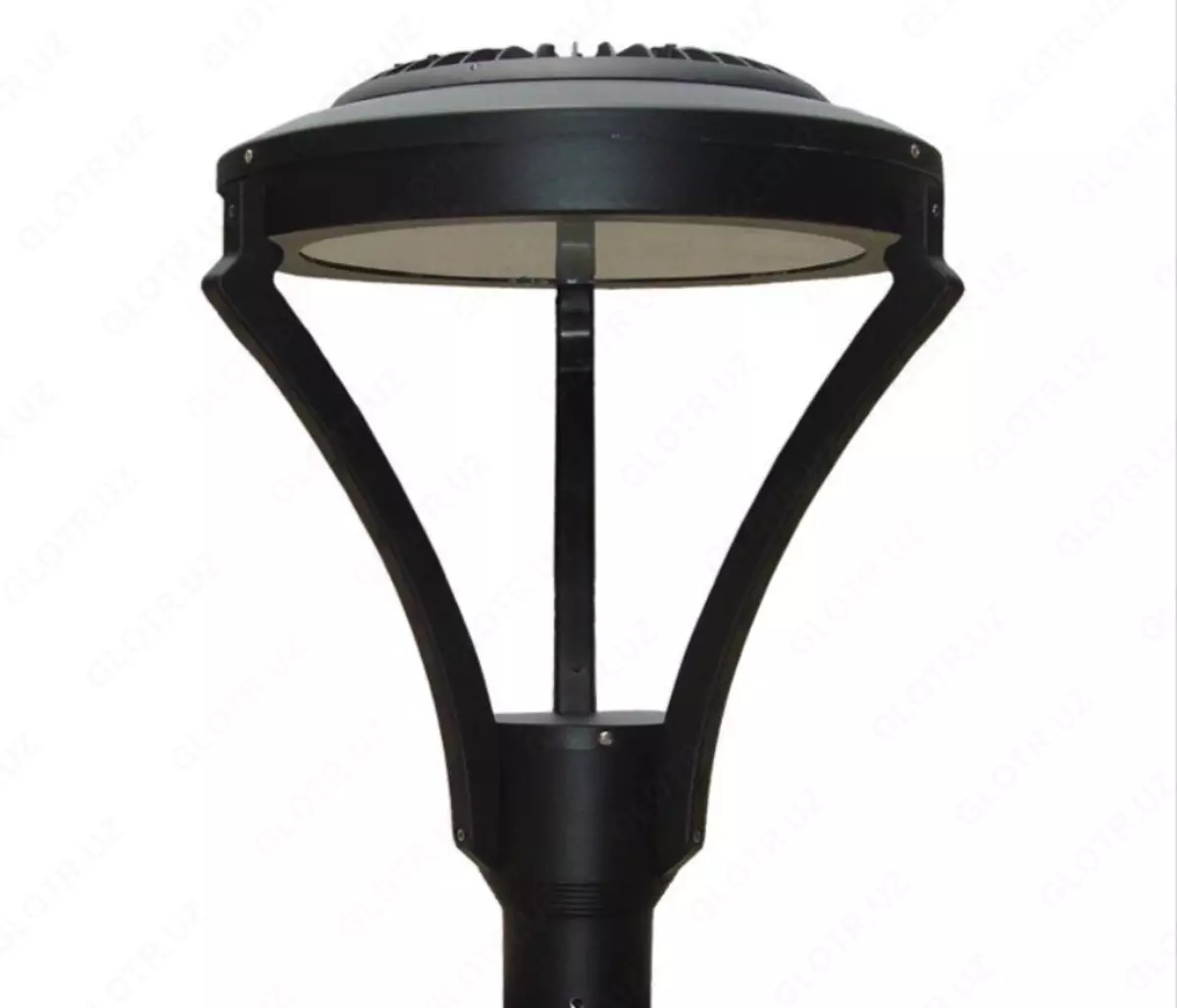 2025-12-23-17-15-52-033409-d782bda4fcb9d93671b9fb1b4e7f70b4.webp?_=ozbol