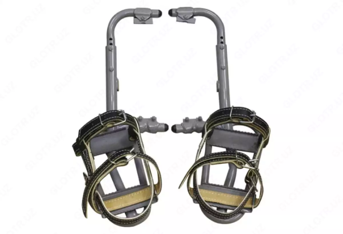 2025-12-26-11-07-08-750186-77cda42a0e2a63967da3ded2c1b7250d.webp?_=ozbol