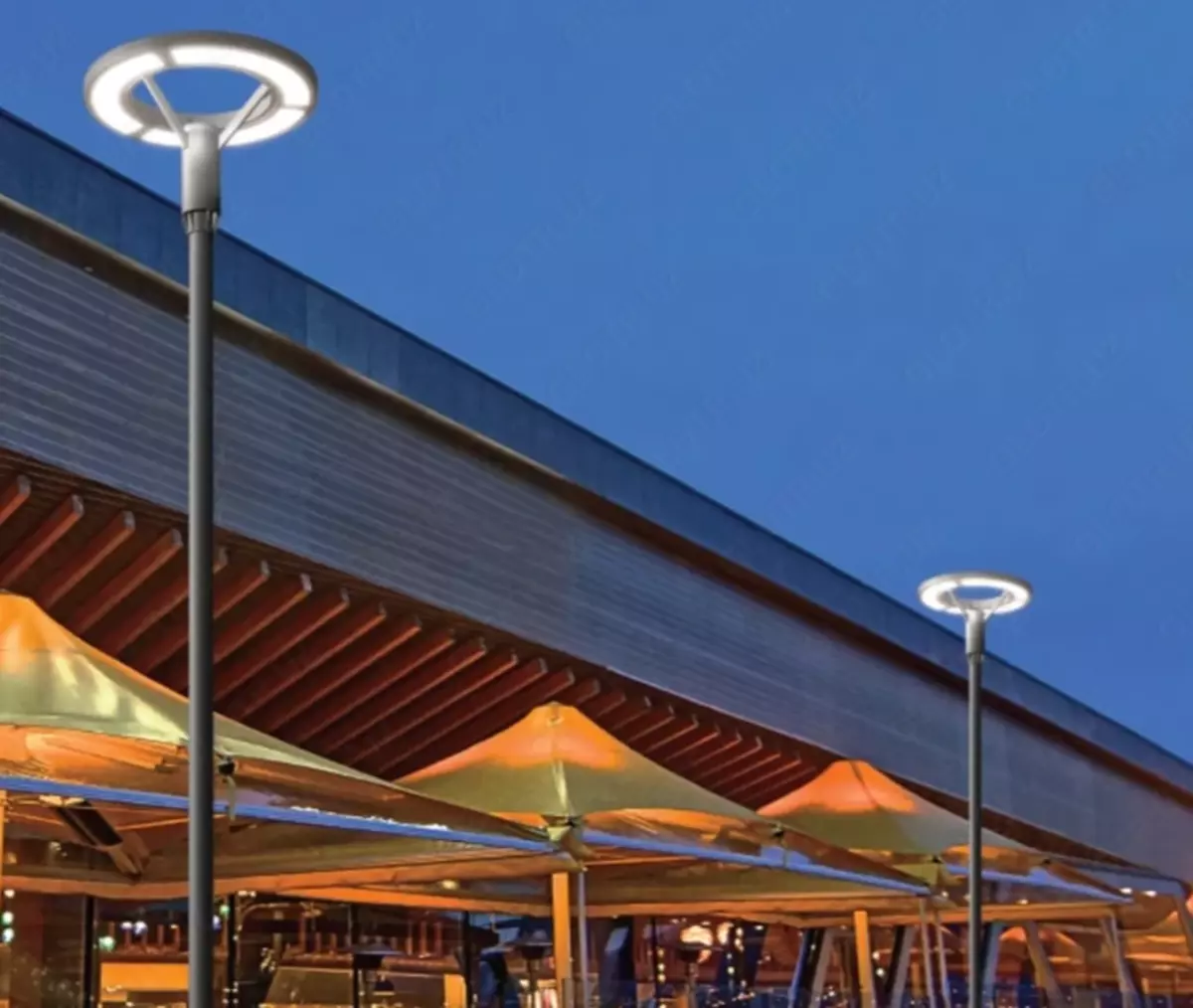 2025-12-29-14-53-52-217951-d84c74591be49d315ba065800684e056.webp?_=ozbol