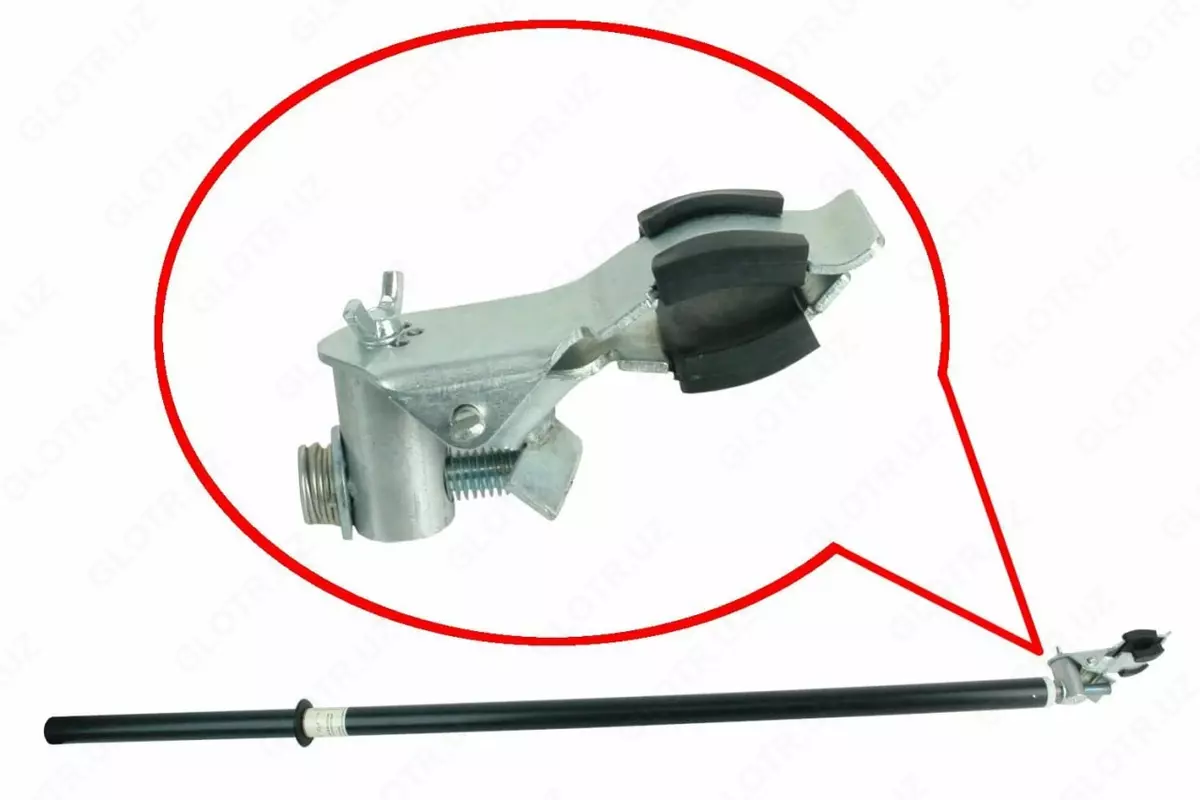 2026-01-05-11-06-54-765536-a1058b9b341e8b50c055ffd843b19863.webp?_=ozbol