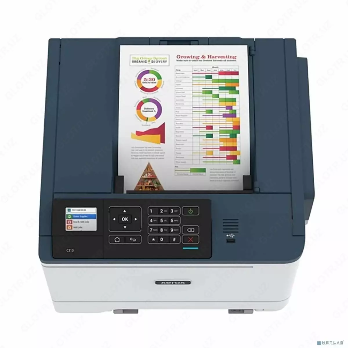 2026-01-06-12-21-00-340403-3613dbbaafed67fb05ab4a1df6900eed.webp?_=ozbol